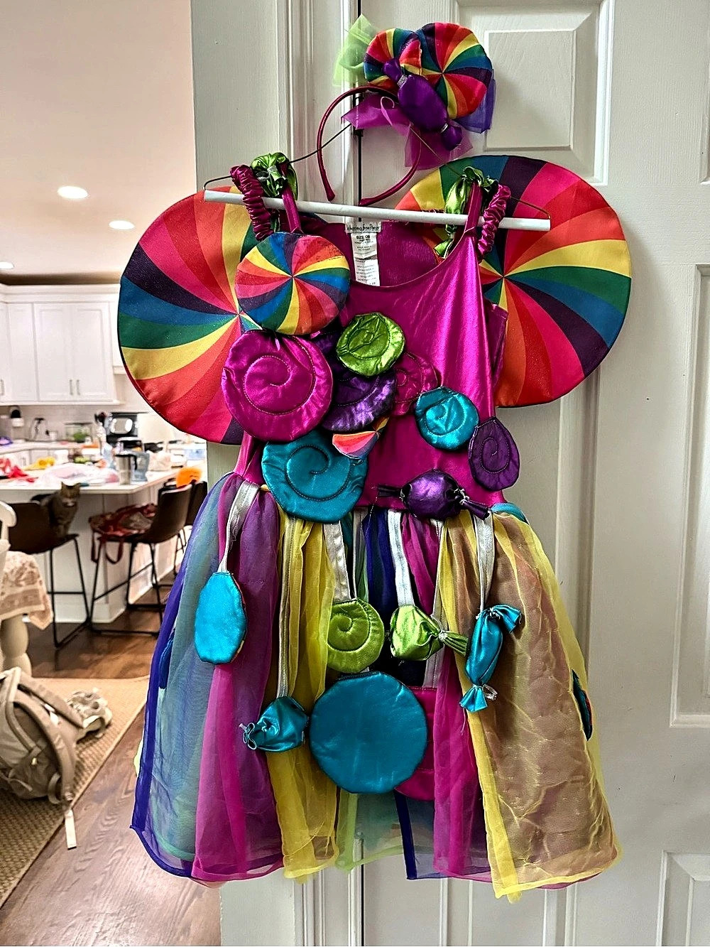 Chasing Fireflies Candy Land Costume Rainbow Girls 12